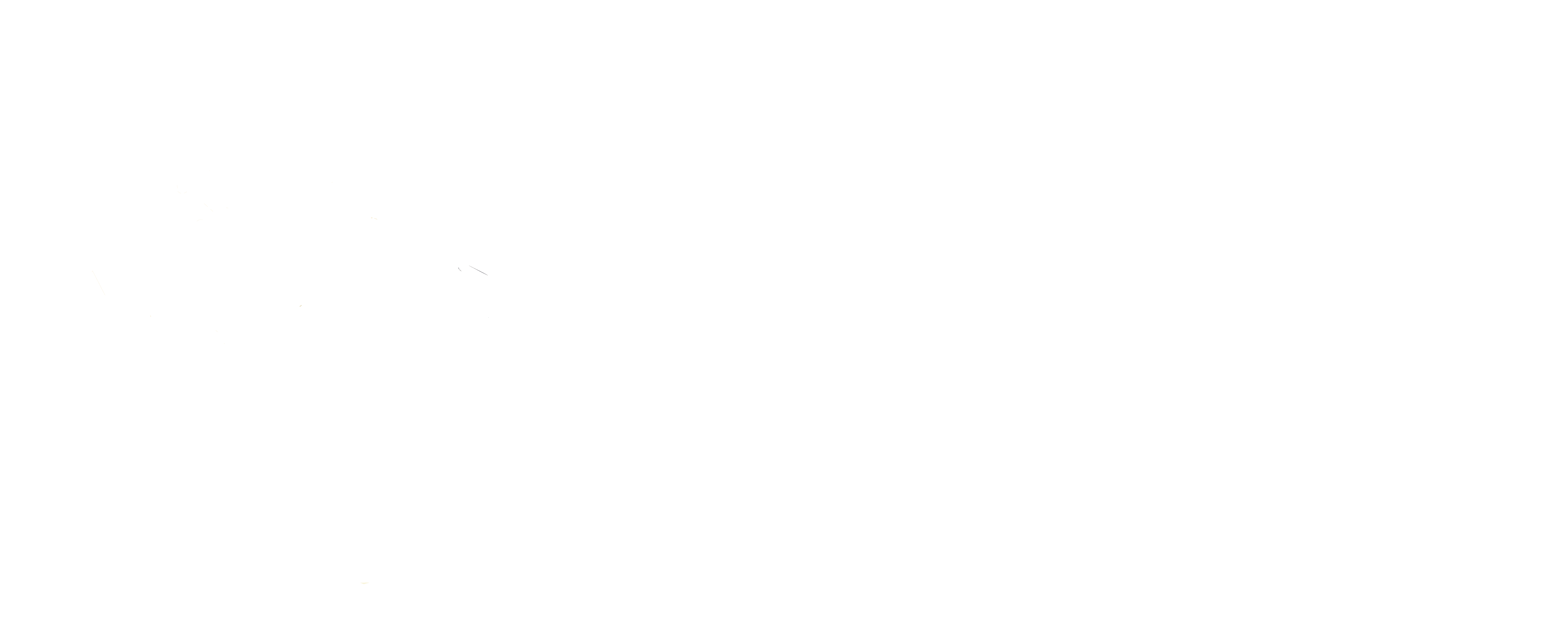 I.A.S. Academy Logo